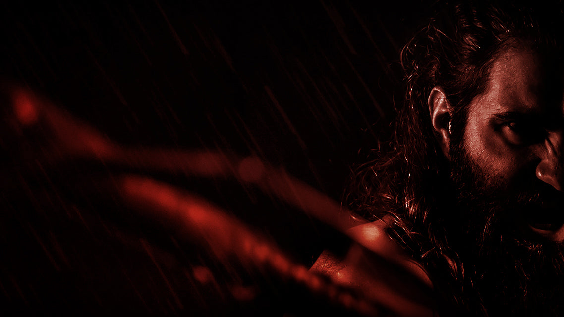 Harald à La Belle Chevelure Viking