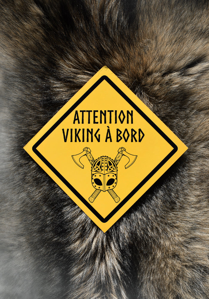 Sticker "Viking à bord"
